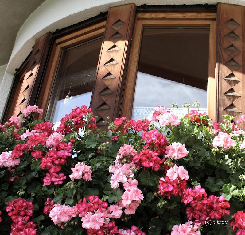 Ferienhaus Troy Doren Luaran gambar